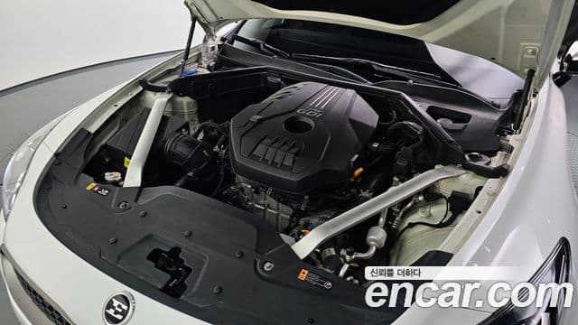 Kia Stinger 2019 — Şəkil 6/20