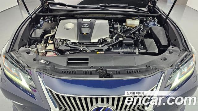 Lexus ES300h 2019 — ფოტო 6/20