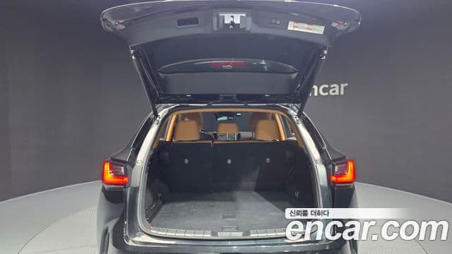 Lexus NX350h 2023 — фото 20 из 20