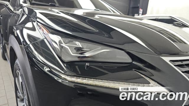 Lexus NX300h 2020 — Photo 33/40