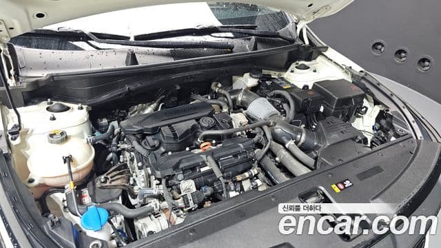 Kia Sportage 2021 — фото 6 из 20