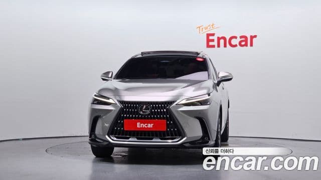 Lexus NX350h 2024 — ფოტო 3/20