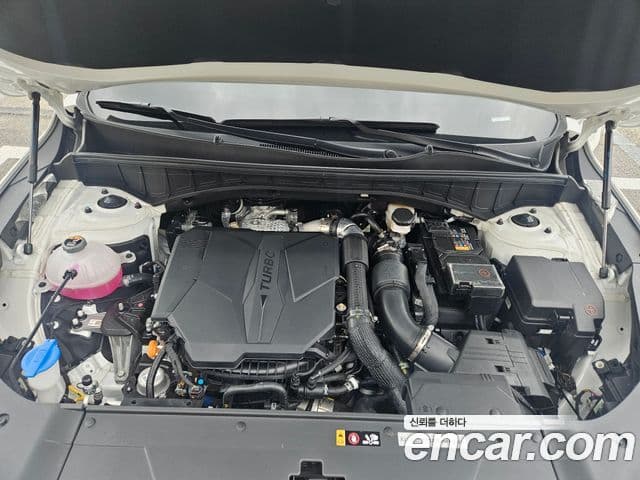 Kia Sorento 2025 — ფოტო 6/20
