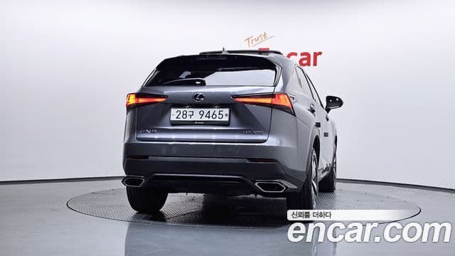 Lexus NX300 2018 — Şəkil 3/20