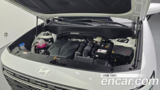 Hyundai Palisade 2025 — ფოტო 6/20