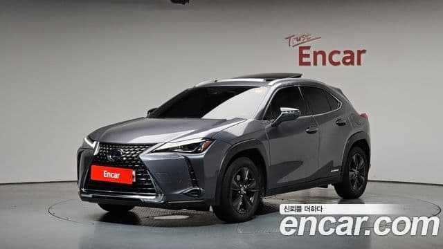 Lexus UX250h 2019 — Şəkil 1/20