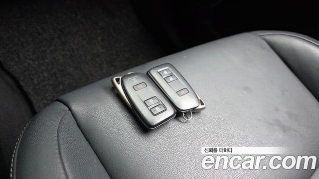 Lexus NX300h 2019 — ფოტო 13/20