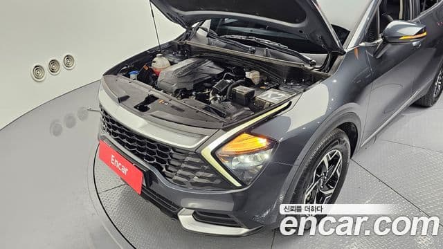 Kia Sportage 2021 — фото 6 из 20