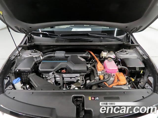 Kia Sportage 2021 — ფოტო 19/20