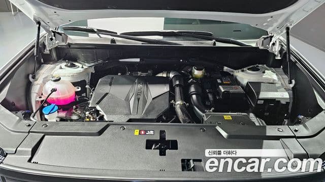 Hyundai Santa Fe 2025 — ფოტო 6/20