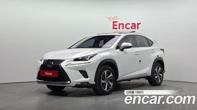 Lexus NX300h 2018 — Фото 1/20