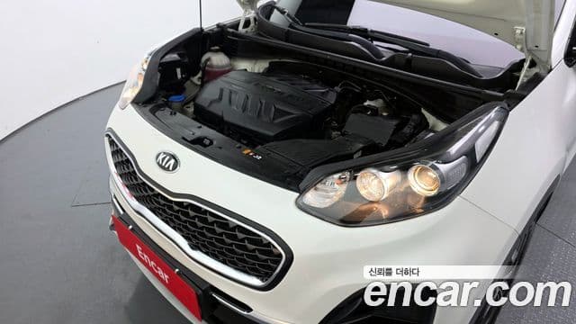 Kia Sportage The Bold 2021 — фото 6 из 20