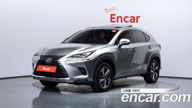 Lexus NX300h, 2019