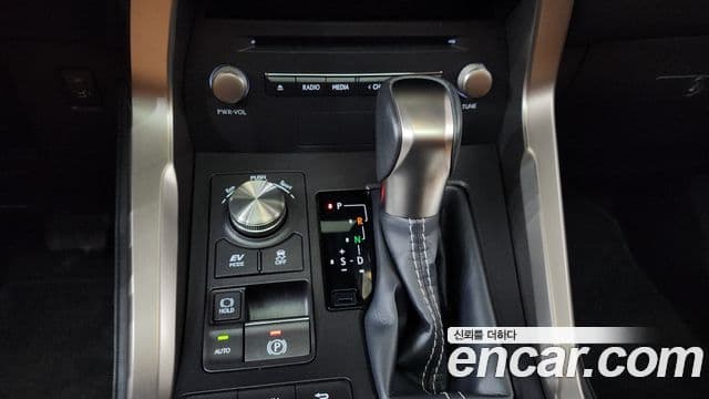 Lexus NX300h 2019 — фото 9 из 20