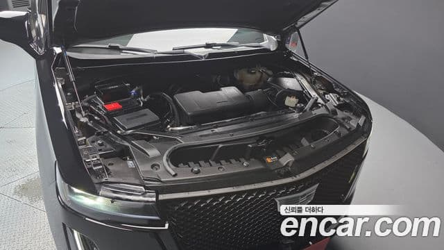 Cadillac Escalade 2021 — ფოტო 6/20