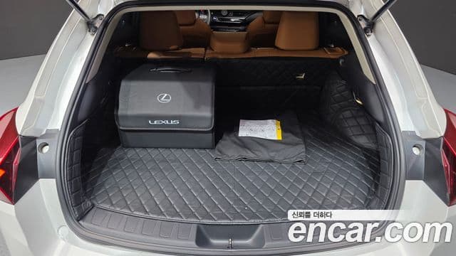 Lexus UX250h 2021 — Photo 27/30