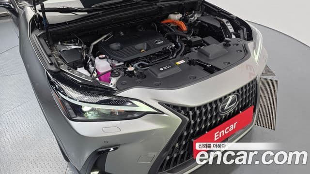 Lexus NX350h 2025 — фото 6 из 20