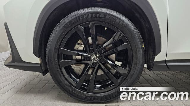 Lexus NX350h 2022 — ფოტო 5/20