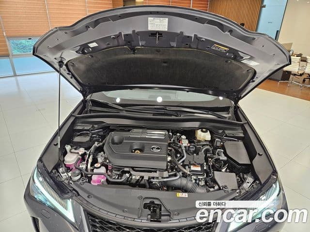 Lexus UX300h 2025 — ფოტო 5/15