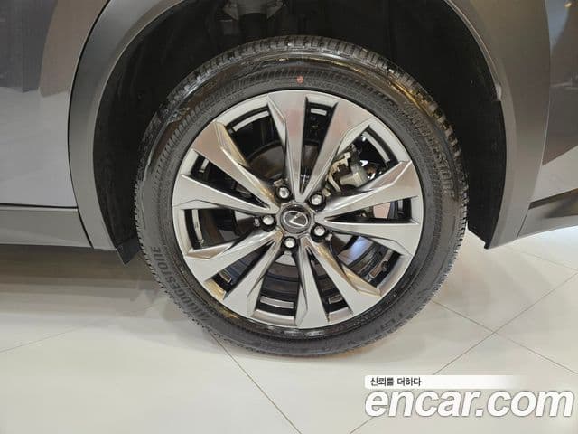 Lexus UX300h 2025 — ფოტო 10/15