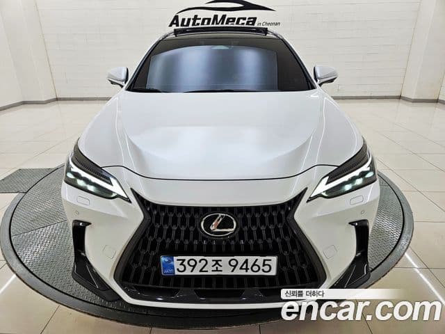 Lexus NX350h 2025 — Фото 9/20