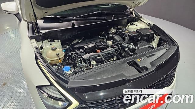 Kia Sportage 2021 — Photo 11/20