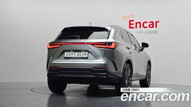 Lexus NX350h 2023 — Şəkil 4/20