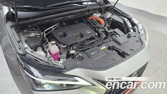 Lexus NX350h 2023 — Şəkil 6/20