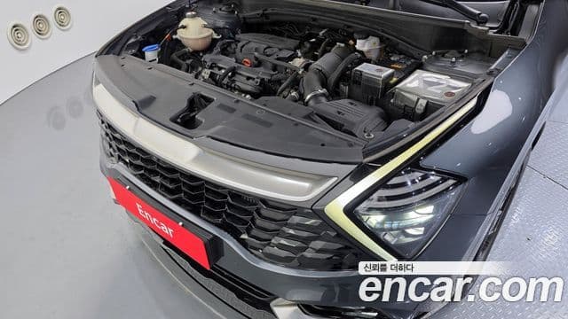 Kia Sportage 2022 — фото 6 из 20