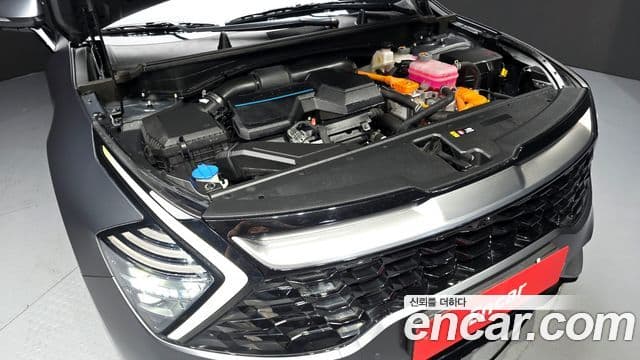 Kia Sportage 2022 — ფოტო 6/20