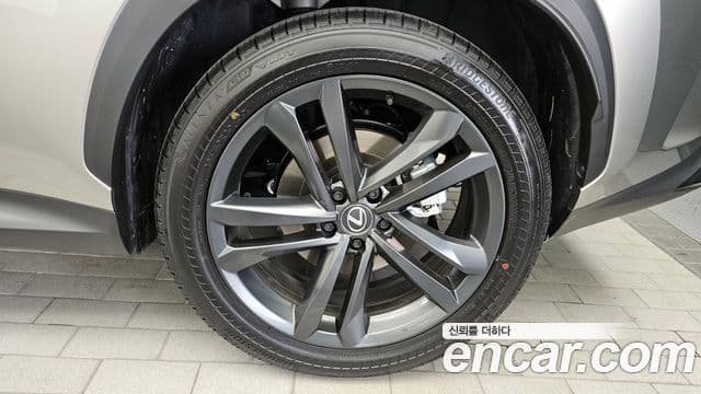 Lexus NX350h 2025 — Photo 6/35