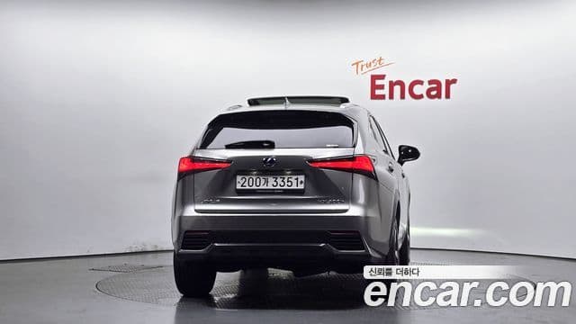 Lexus NX300h 2019 — Photo 20/30