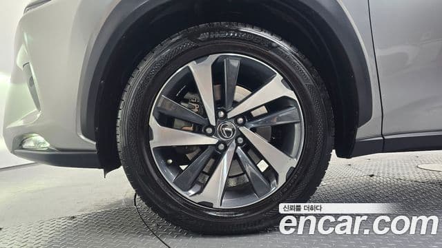 Lexus NX300h 2019 — Photo 21/30