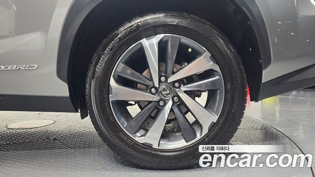 Lexus NX300h 2019 — Photo 14/30