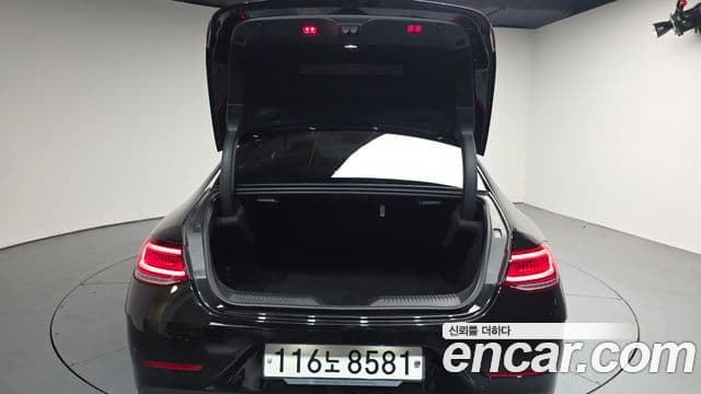 Mercedes-Benz CLS-Class 2019 — ფოტო 20/20