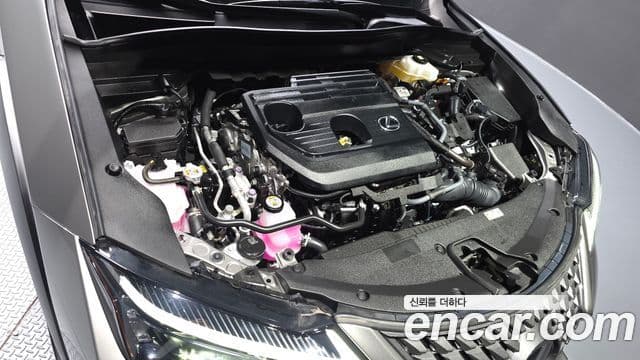 Lexus UX300h 2024 — ფოტო 6/20