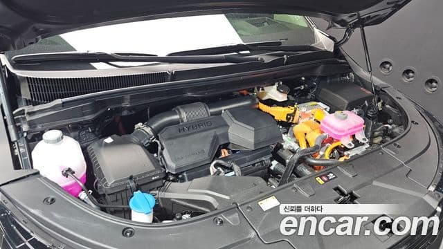 Kia Carnival 2025 — фото 6 из 20