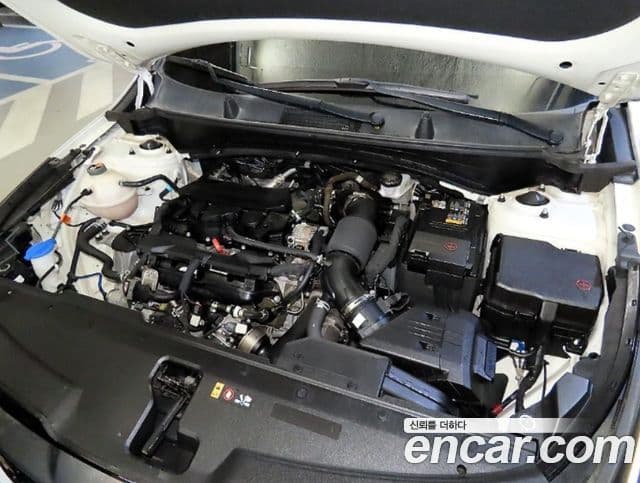 Kia Sportage 2022 — Фото 18/20