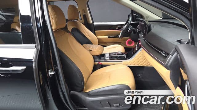 Kia Carnival 2020 — ფოტო 11/20
