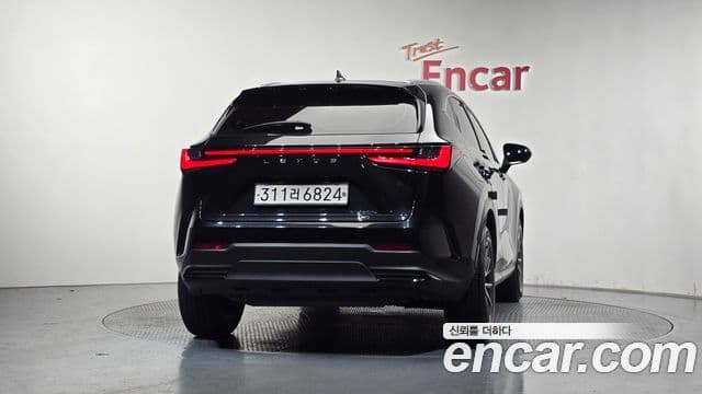 Lexus NX450h+ 2023 — ფოტო 14/20