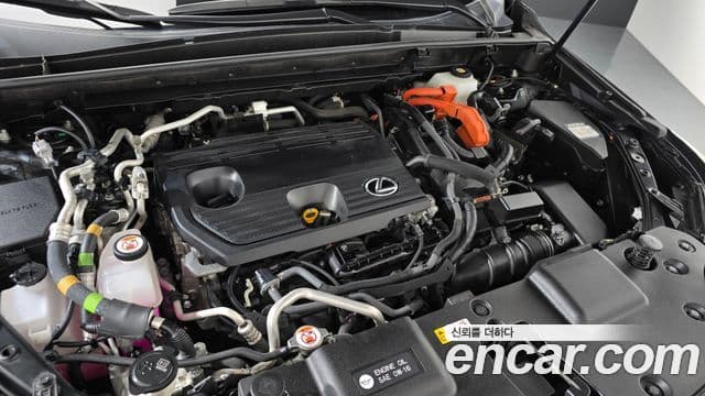Lexus NX450h+ 2023 — ფოტო 7/20