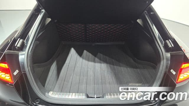 Kia Stinger 2019 — ფოტო 14/36