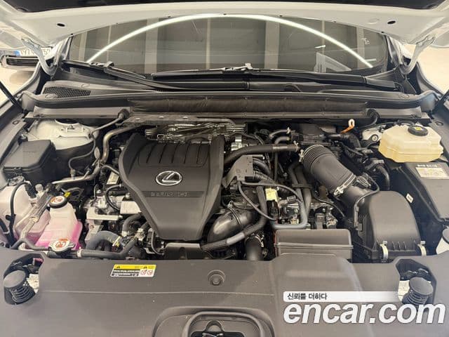 Lexus RX500h 2025 — Photo 14/14