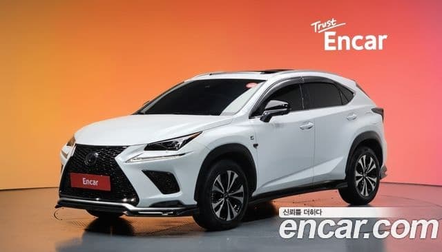 Lexus NX300 2020 — Photo 5/20