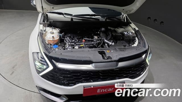 Kia Sportage 2024 — ფოტო 6/20