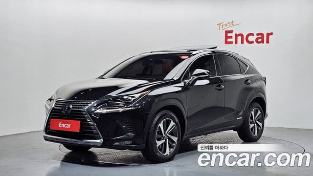Lexus NX300h 2020 — ფოტო 1/20