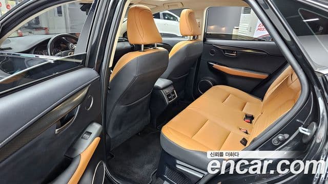 Lexus NX300h 2020 — ფოტო 11/20