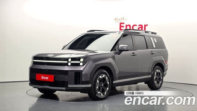 Hyundai Santa Fe 2024 — ფოტო 1/20