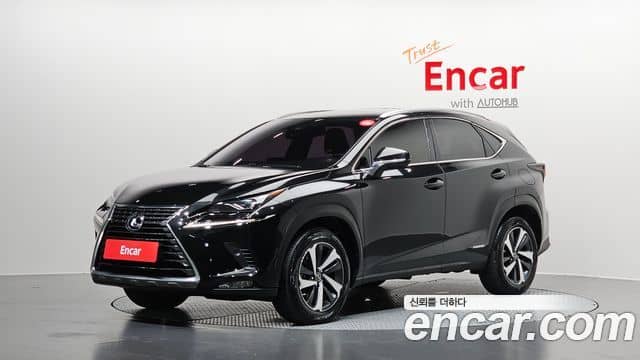 Lexus NX300h, 2021