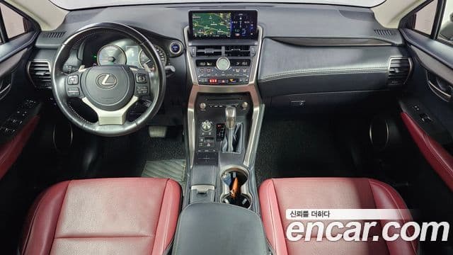 Lexus NX300h 2021 — ფოტო 7/20